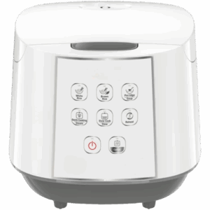 Rice & Slow Cooker with versatile Easy Rice & Slow Cooker